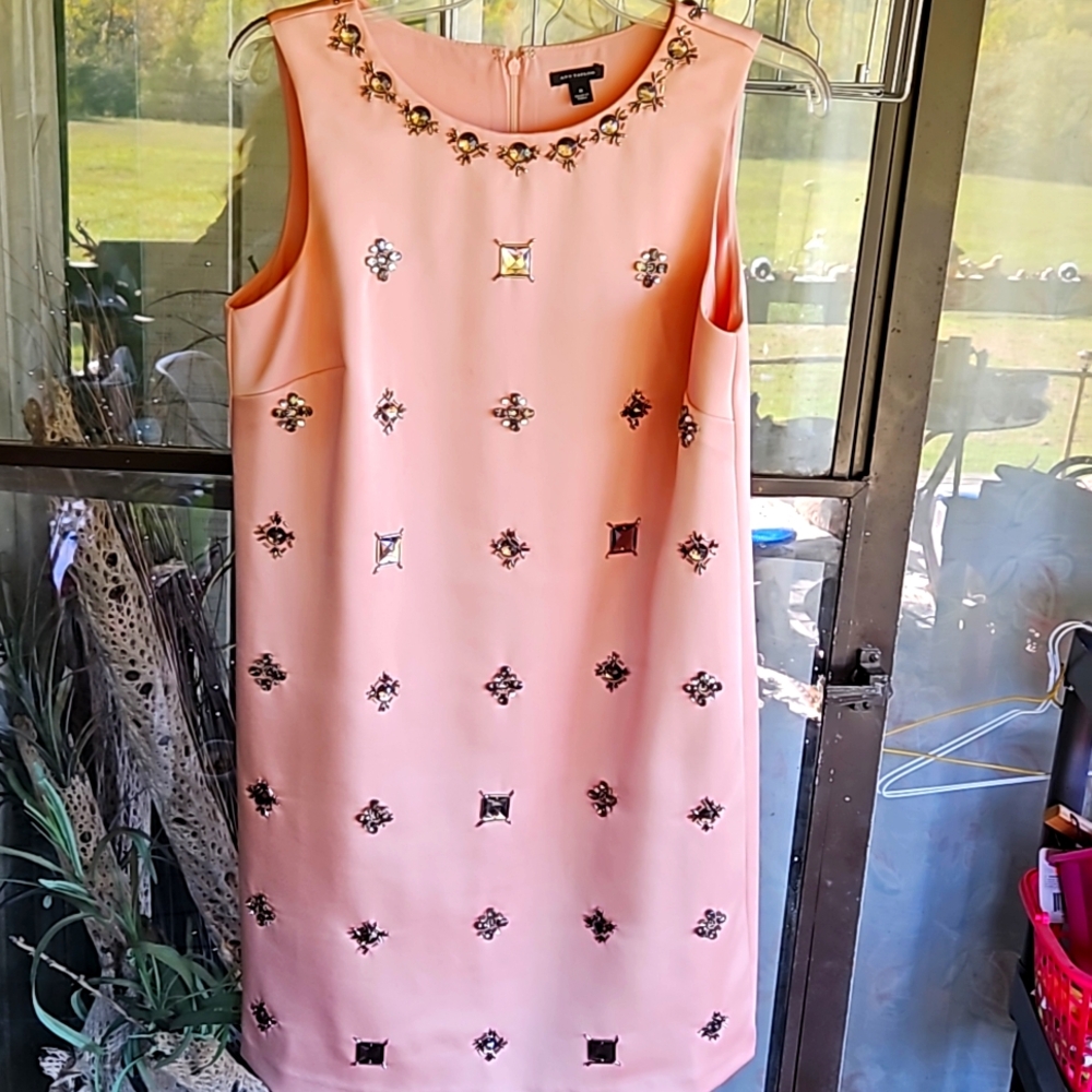 Ann Taylor Blush Embellished Sleeveless Dress